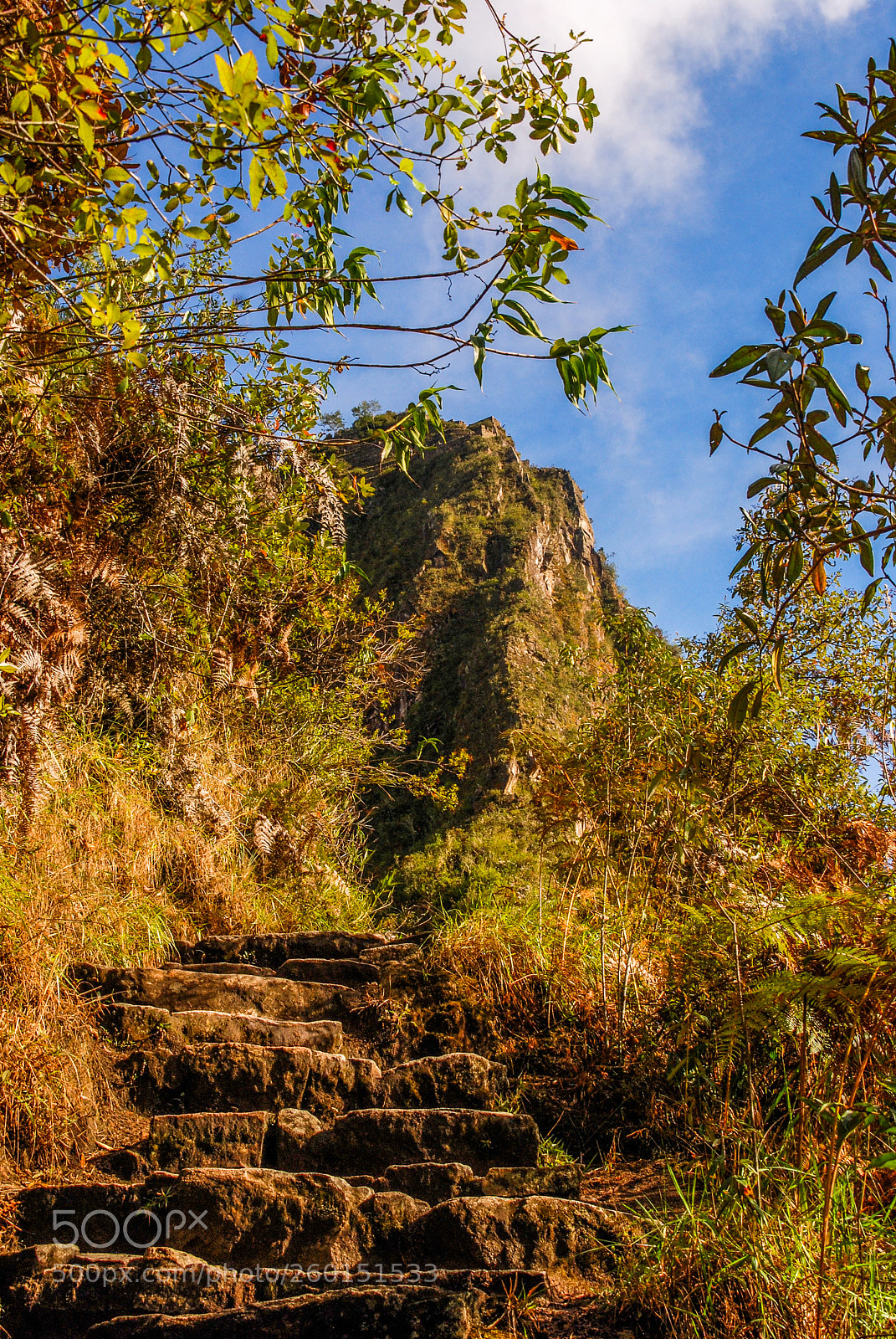 Nikon D80 sample photo. Steps to huayna picchu photography