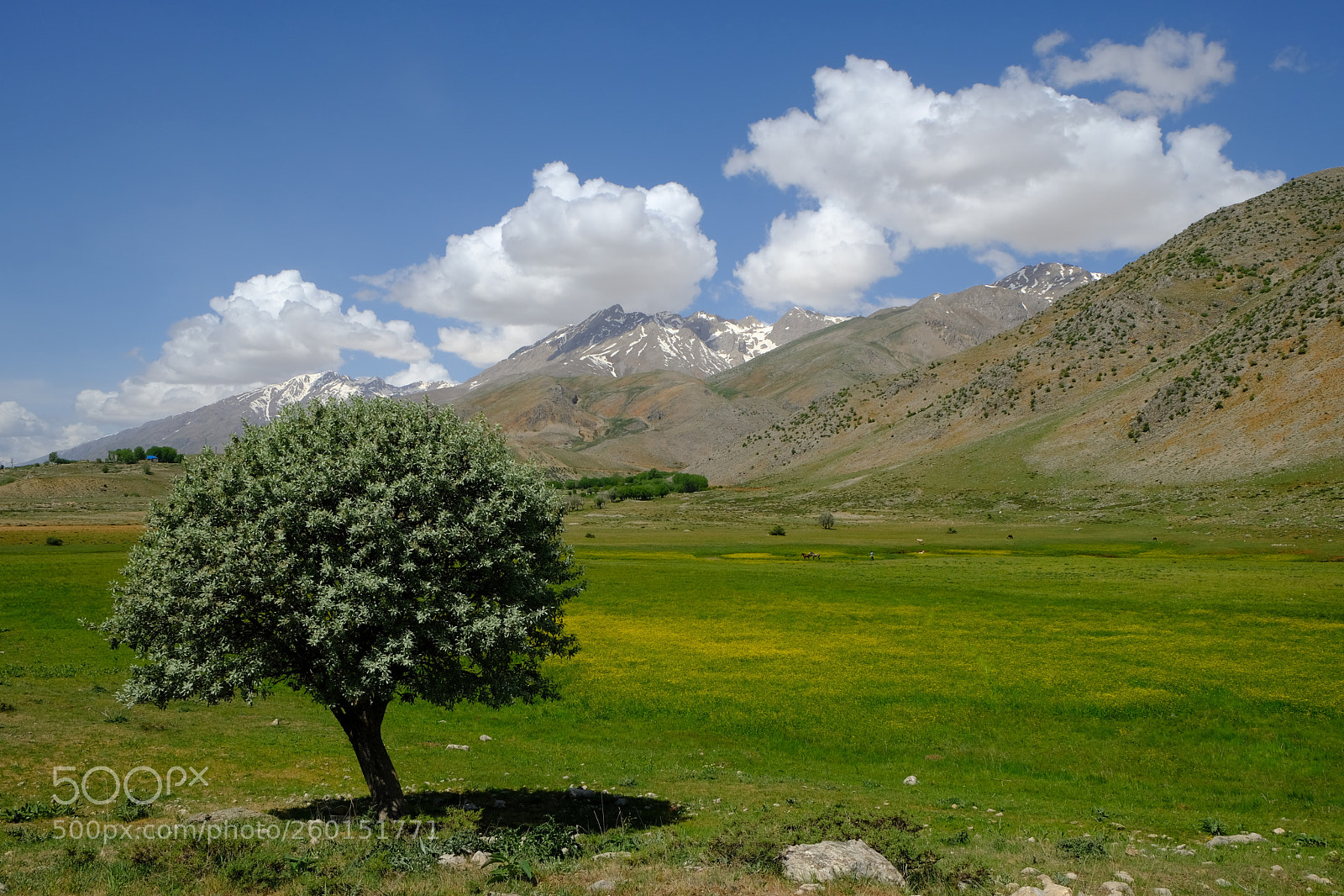 Fujifilm X-T2 sample photo. Turkey - east photography