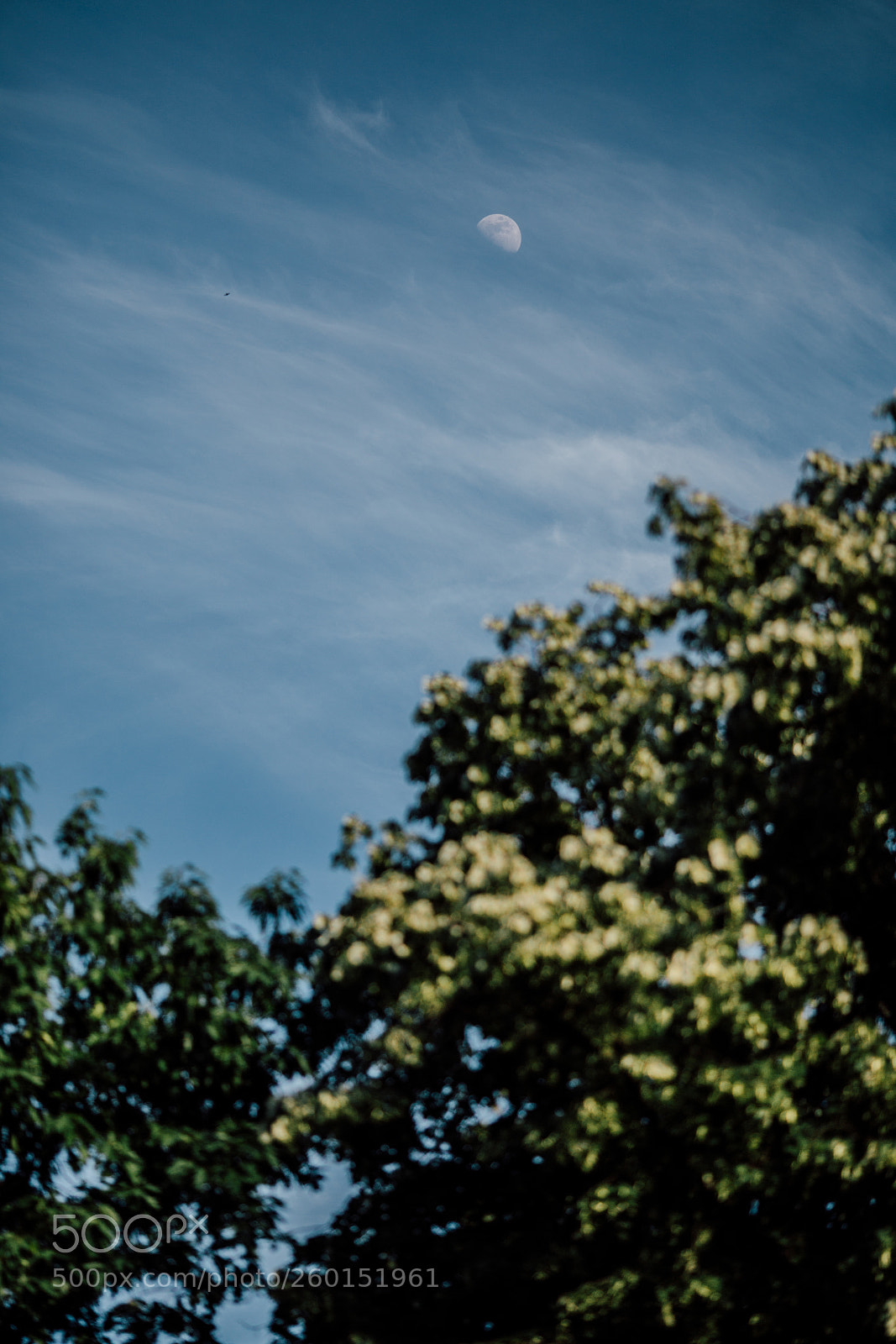 Canon EOS 6D sample photo. Moon photography