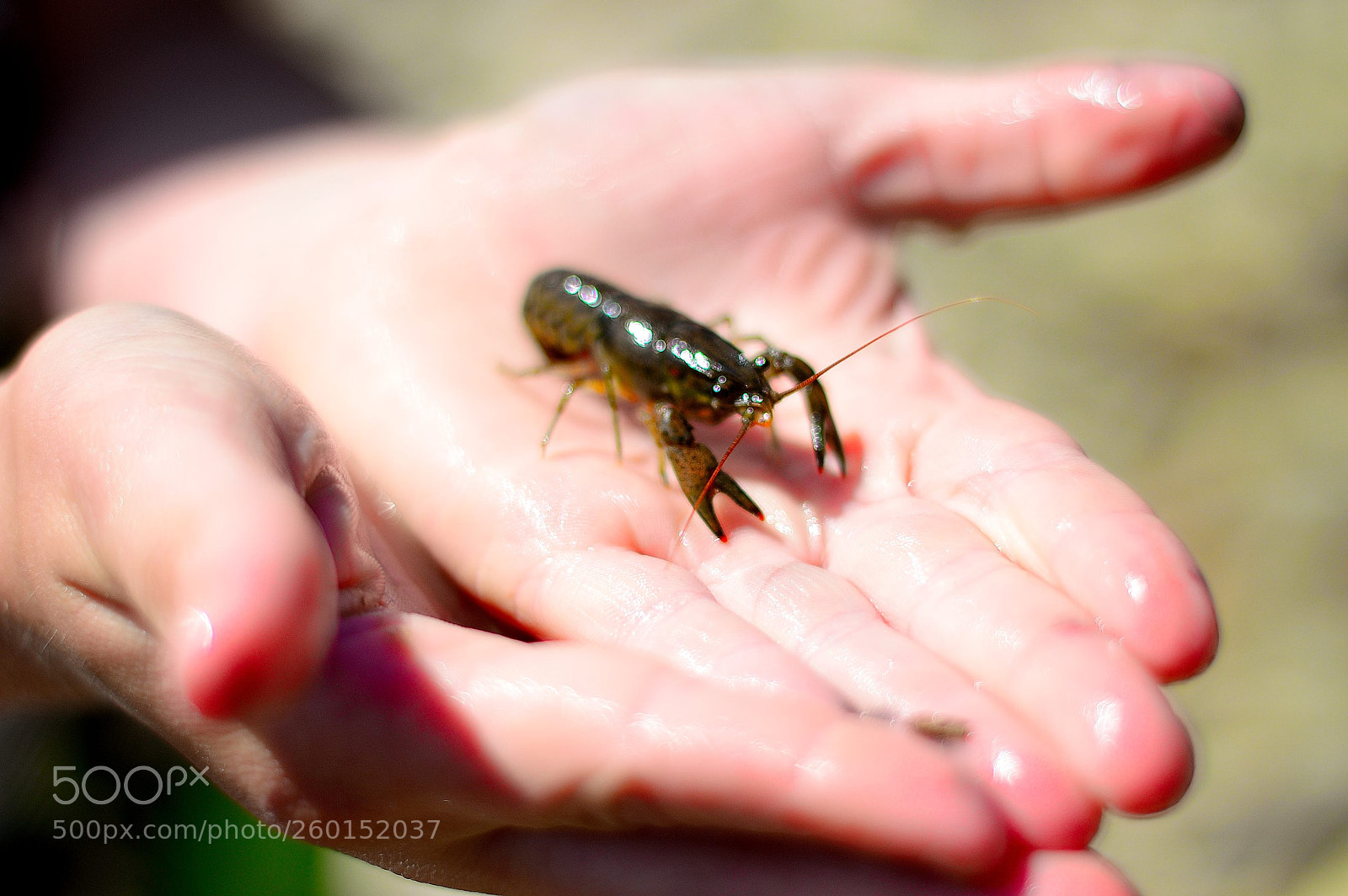 Nikon D3200 sample photo. Untitled photography