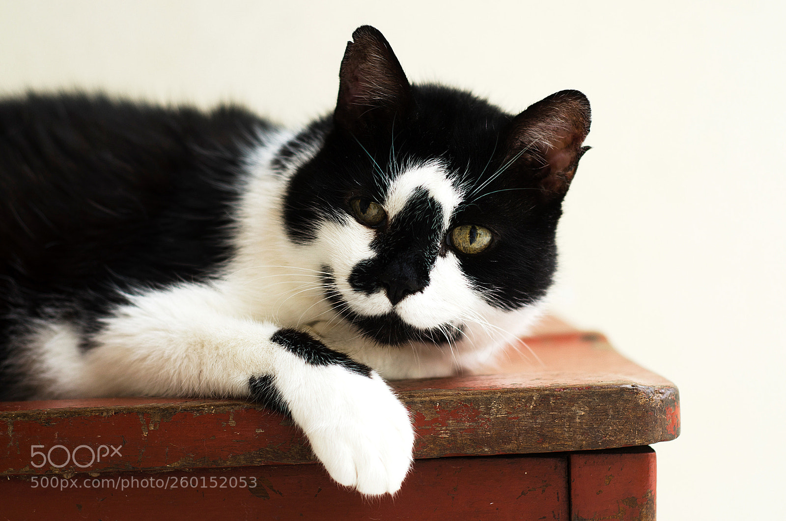 Nikon D7000 sample photo. - photography