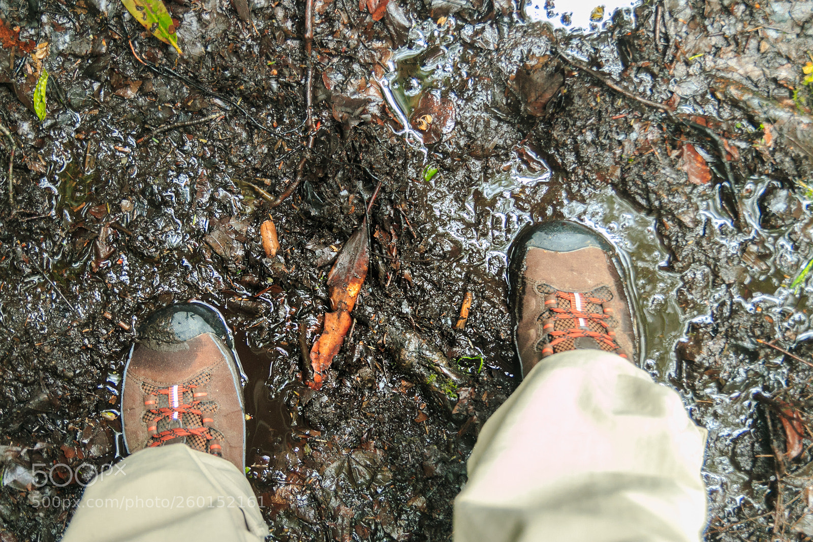 Canon EOS 70D sample photo. Got mud.. photography