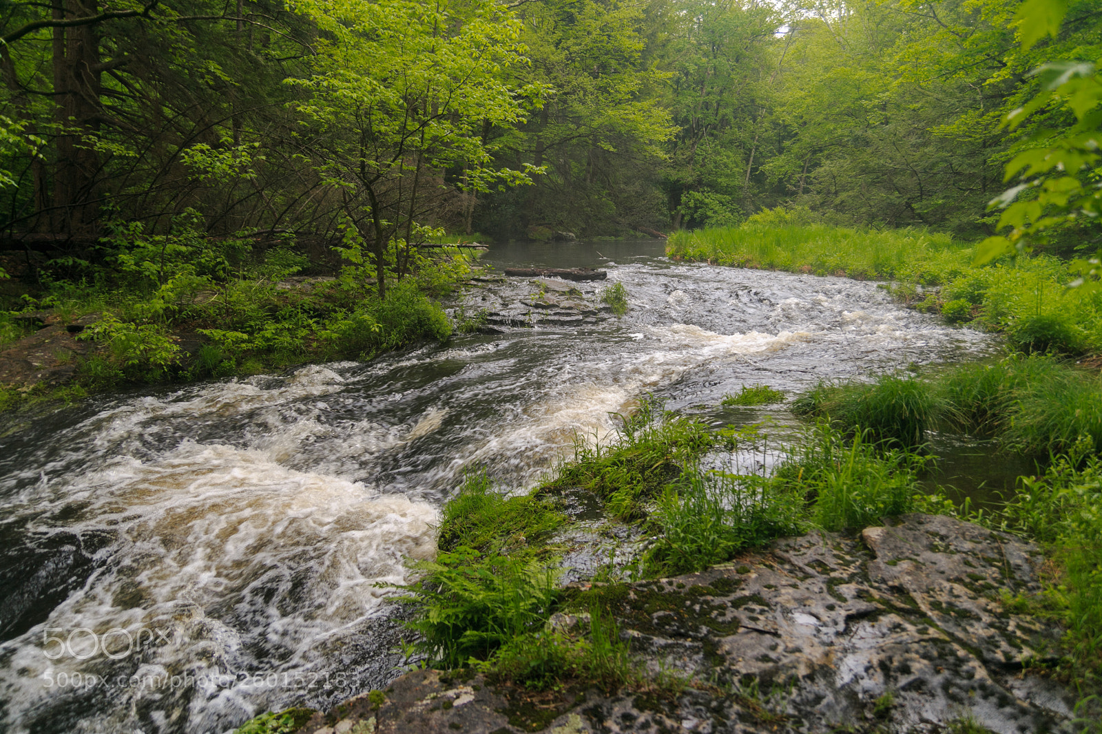 Canon EOS 70D sample photo. Creek after the rain photography