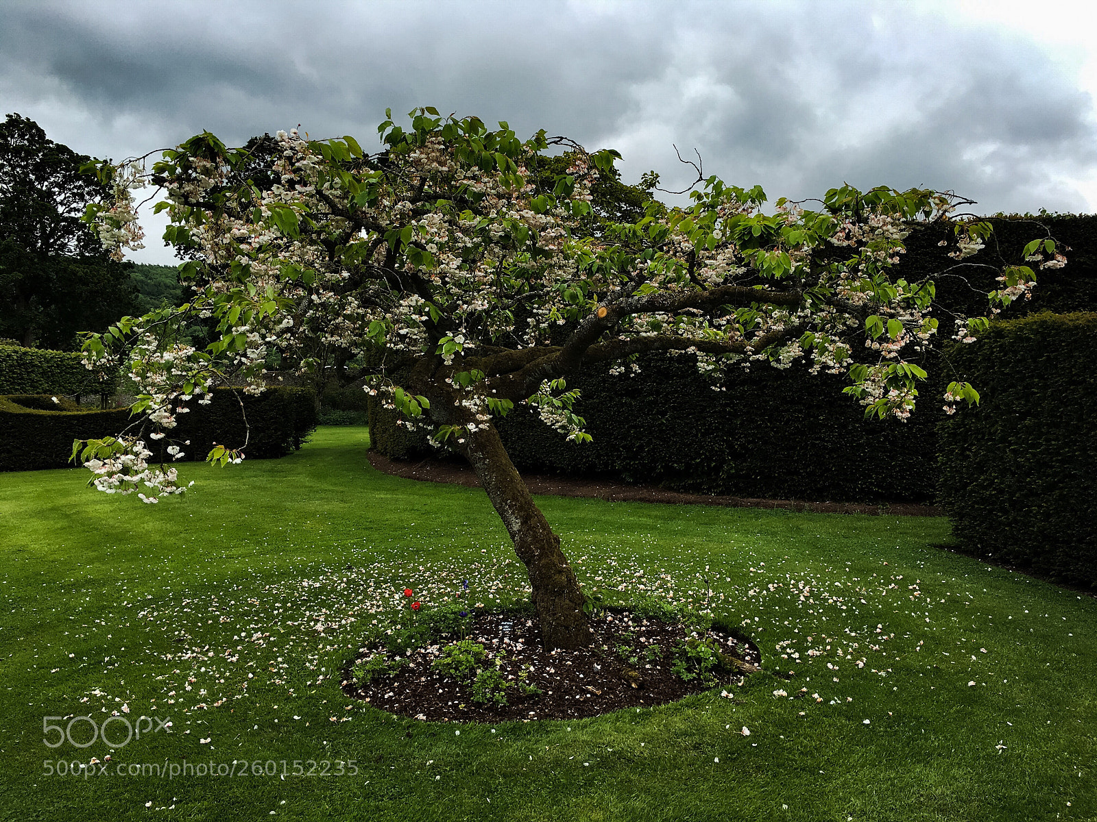 Apple iPhone 6s Plus sample photo. Glenarm castle gardens, northern photography