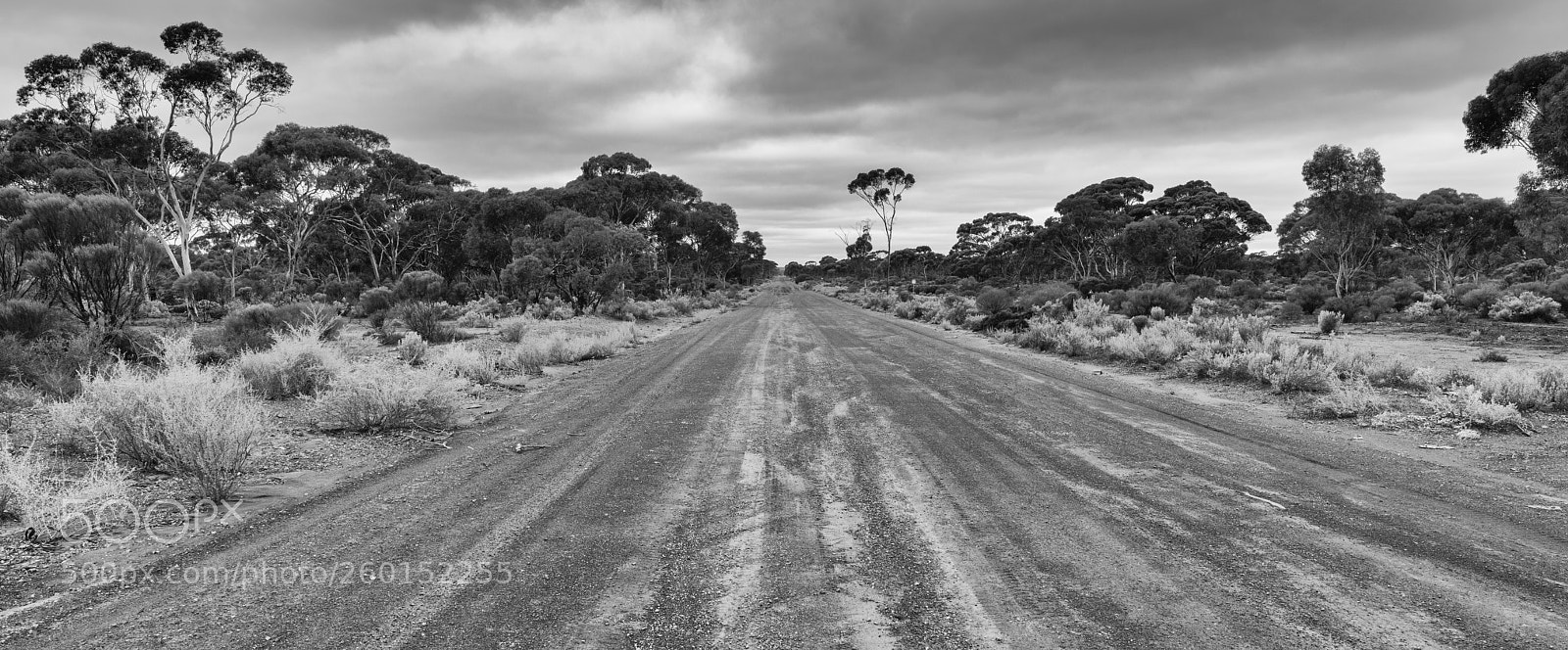 Sony a7R II sample photo. Road, outback of western photography