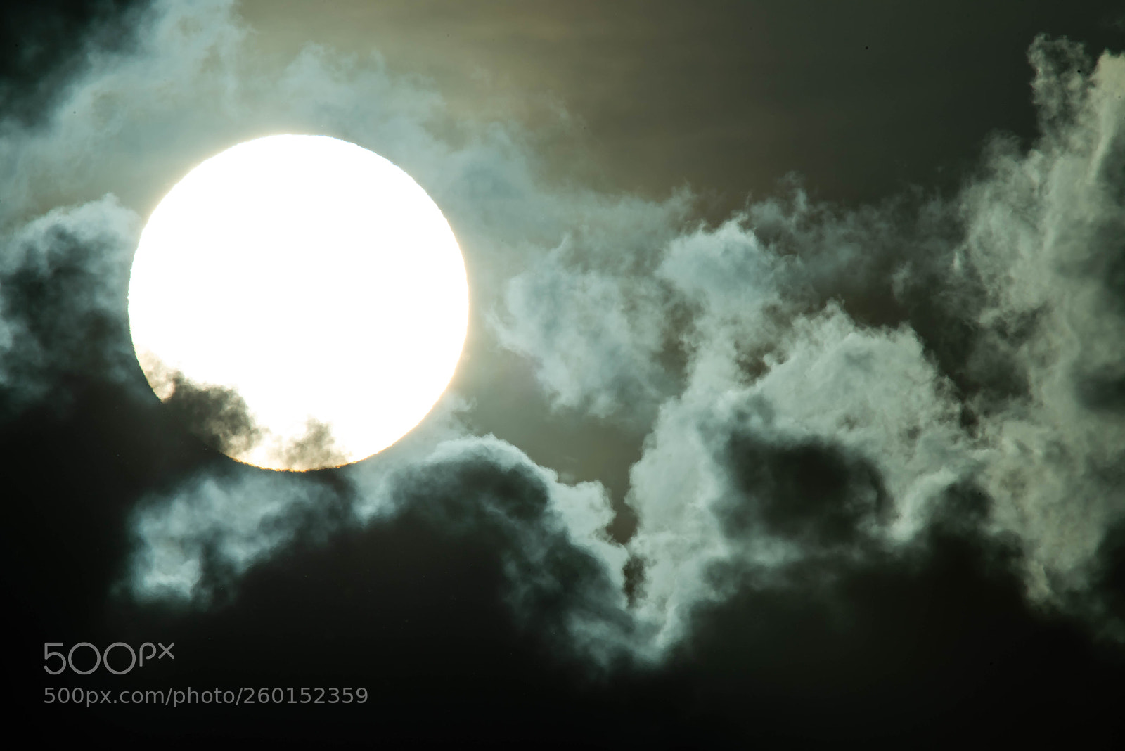 Nikon D810 sample photo. Sun photography