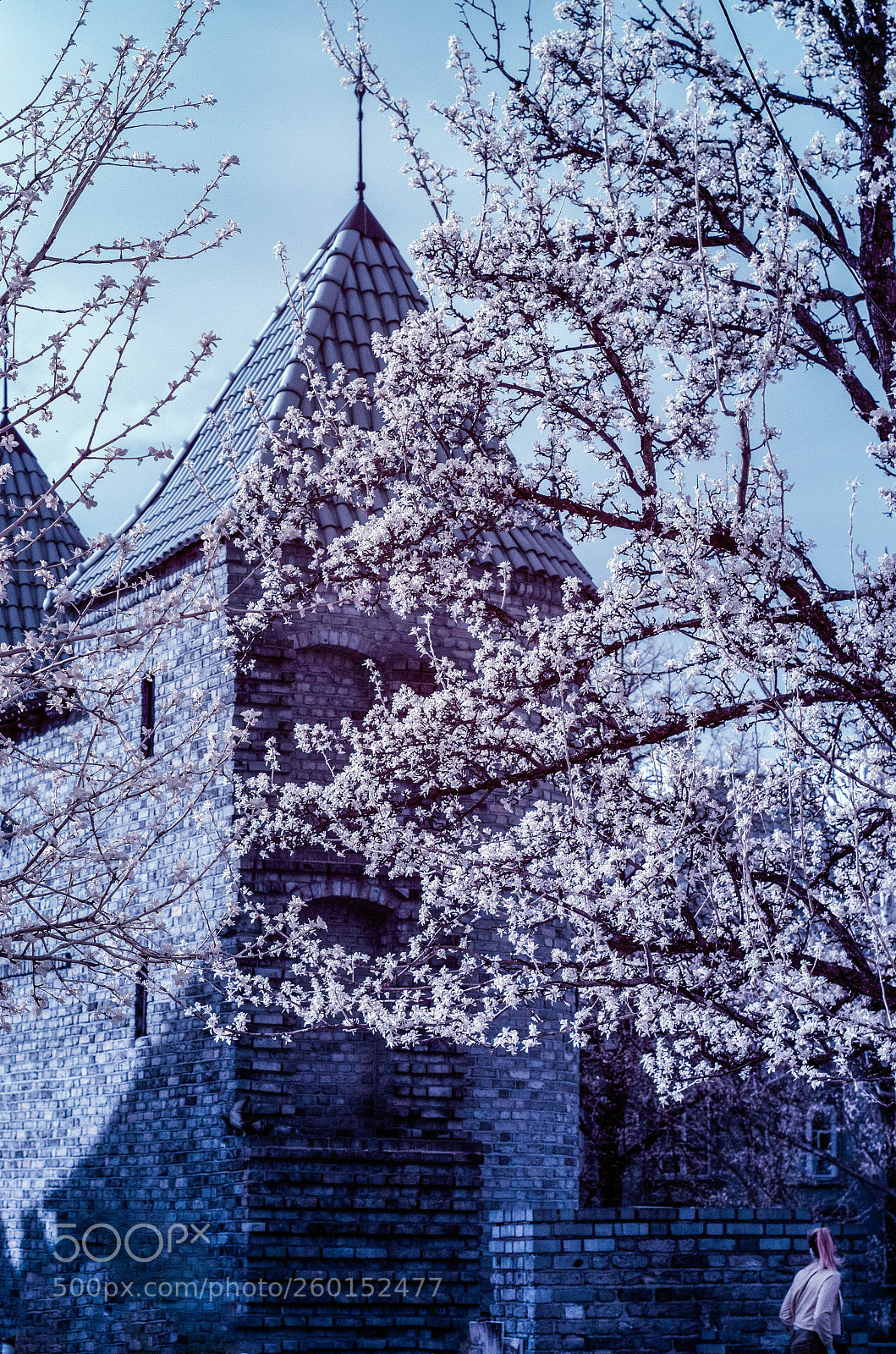 Nikon D7000 sample photo. Ir city photography