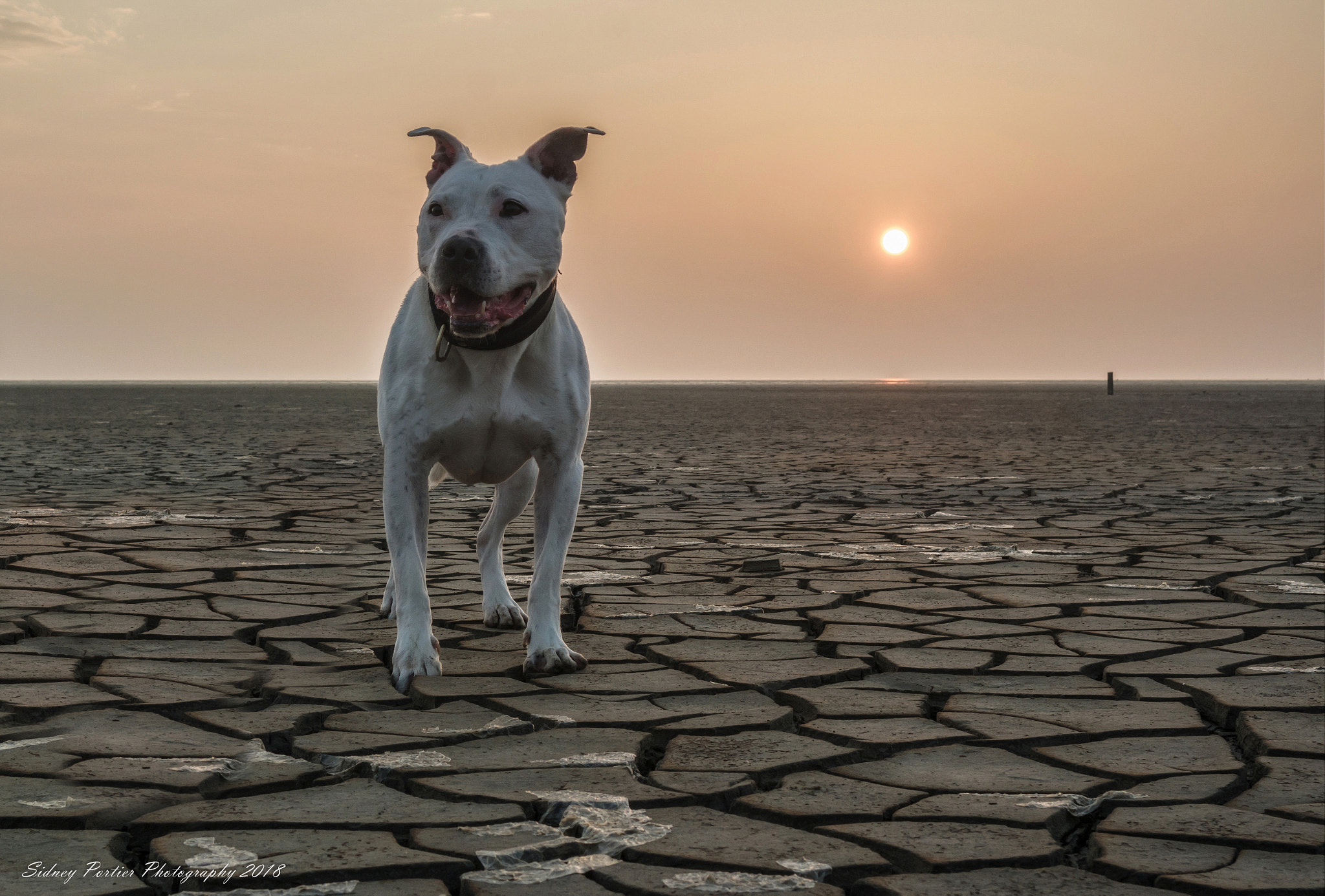 Samsung NX3300 sample photo. Sunset photography