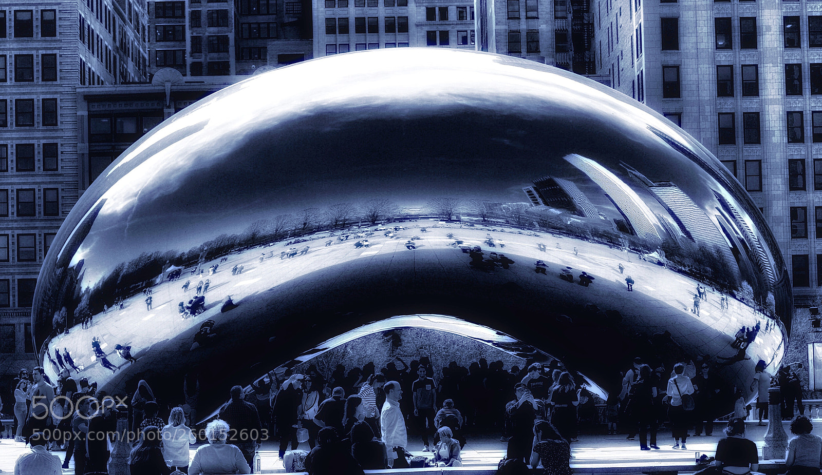 Nikon D3200 sample photo. The bean. photography