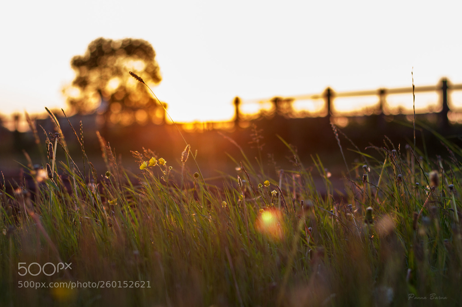 Canon EOS 700D (EOS Rebel T5i / EOS Kiss X7i) sample photo. Calmness photography