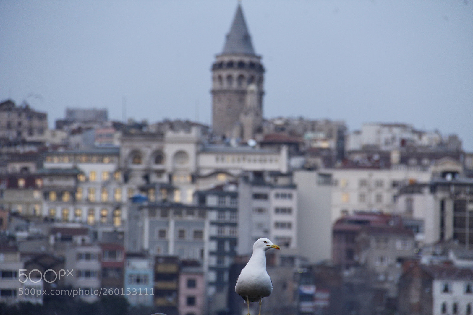Canon EF-S 18-135mm F3.5-5.6 IS sample photo. Hello İstanbul ! photography
