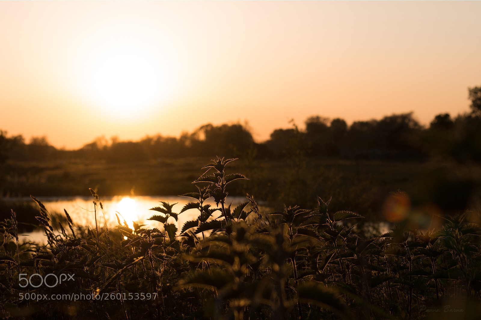 Canon EOS 700D (EOS Rebel T5i / EOS Kiss X7i) sample photo. Sunset by the lake photography