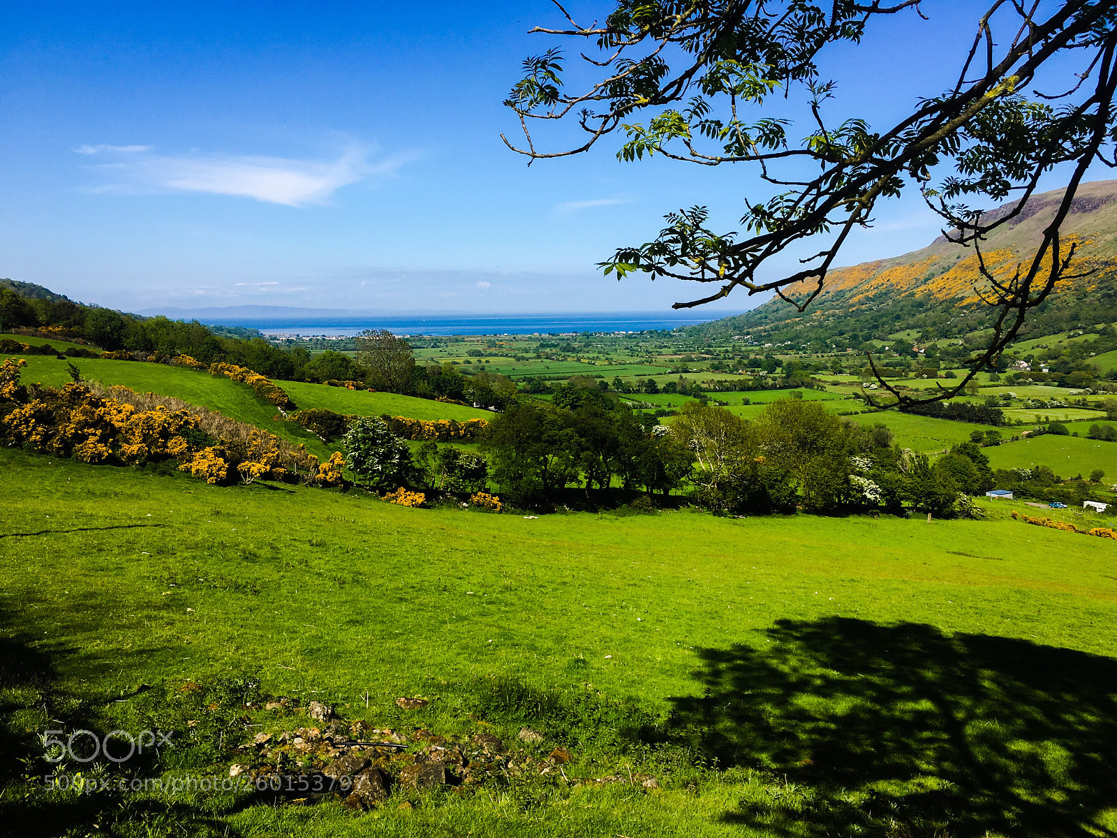 Apple iPhone 6s Plus sample photo. The glens of antrim photography