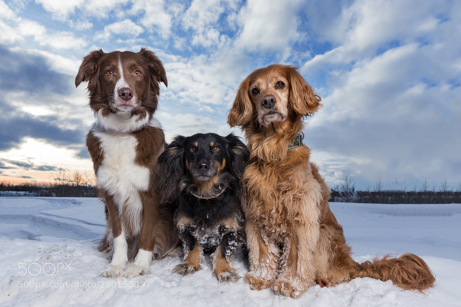 Canon EOS 6D sample photo. Trio photography