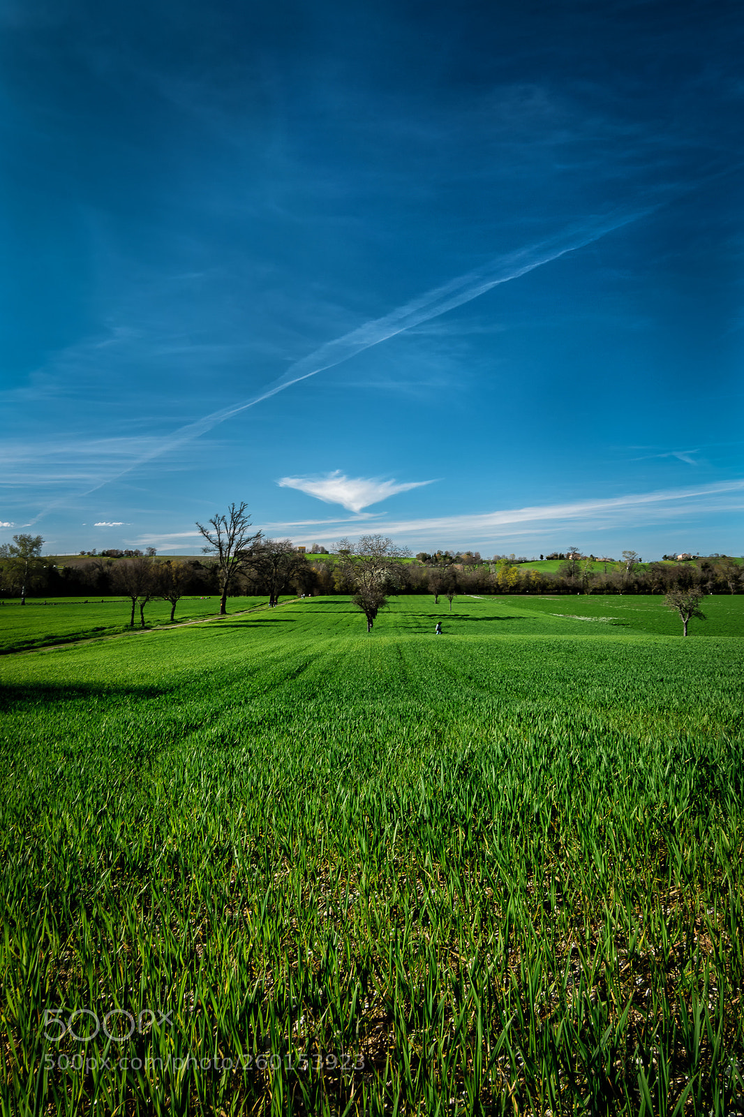 Nikon D5300 sample photo. Heap photography