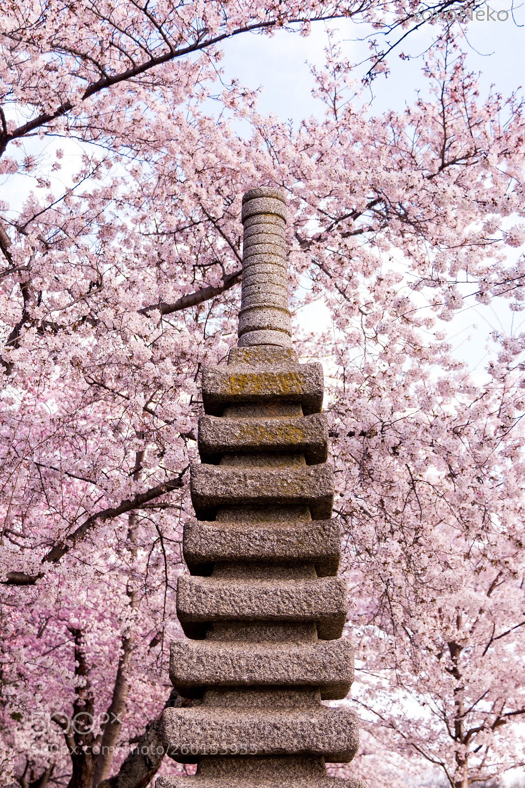 Canon EOS 70D sample photo. Pagoda in spring photography