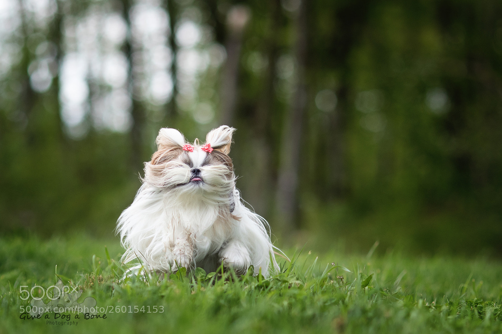 Canon EOS 7D Mark II sample photo. Run!!! photography