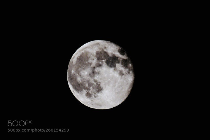 Nikon D5600 sample photo. To the moon & back photography