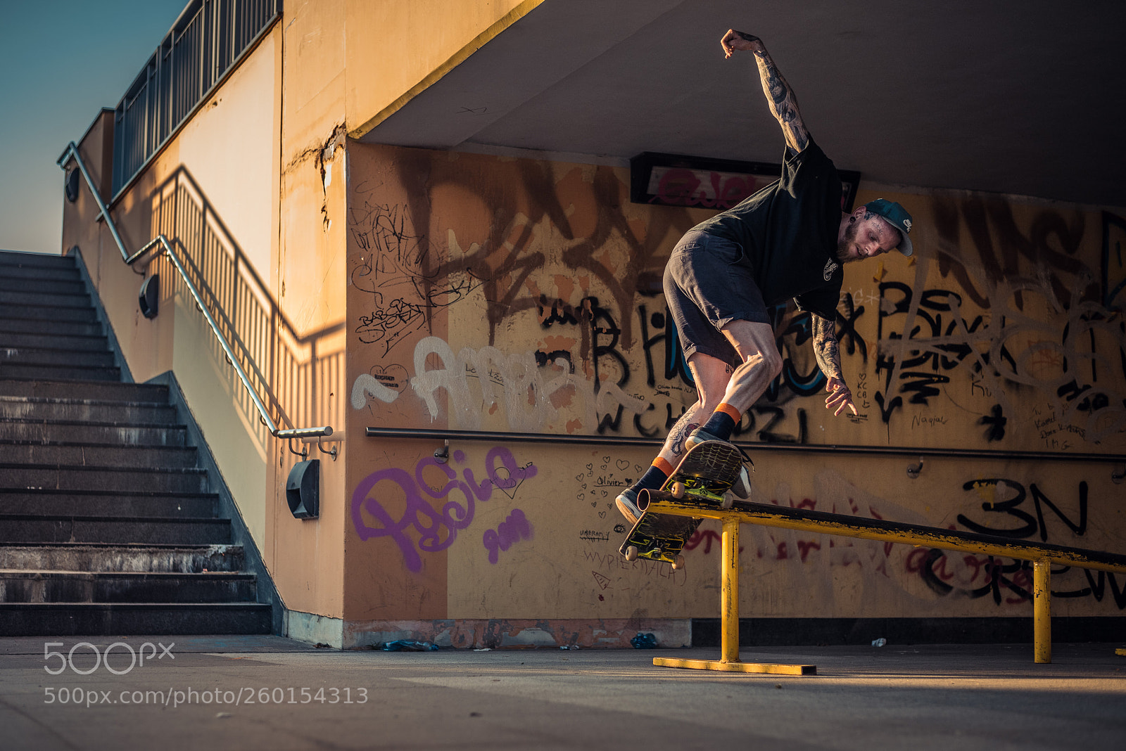 Nikon D810 sample photo. Crow photography