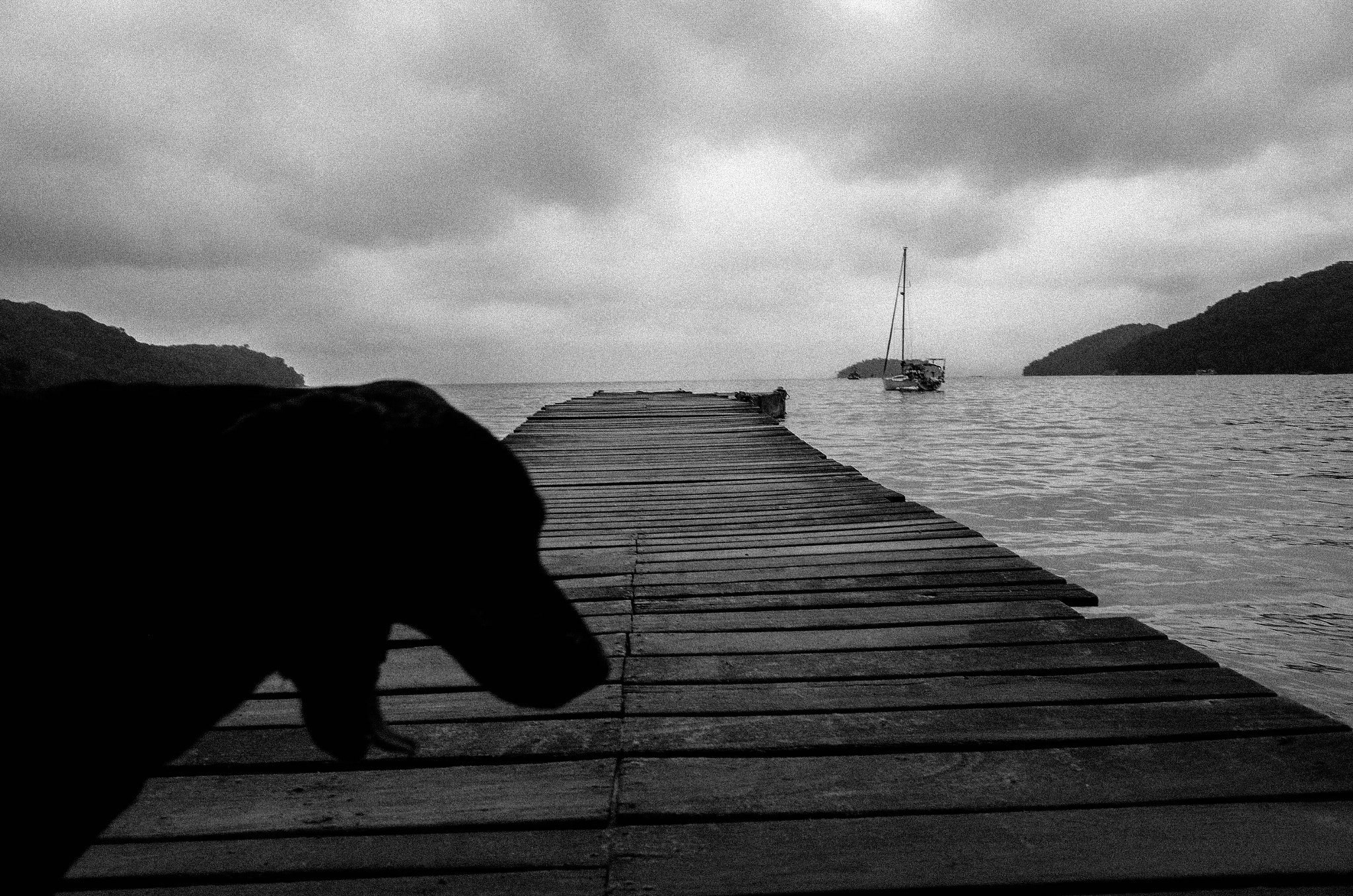 Ricoh GR sample photo. Brasil, 2015 photography