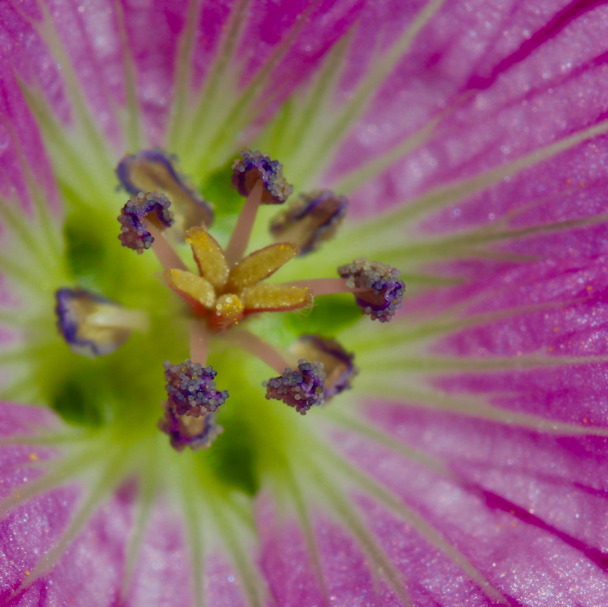 Canon EOS M100 sample photo