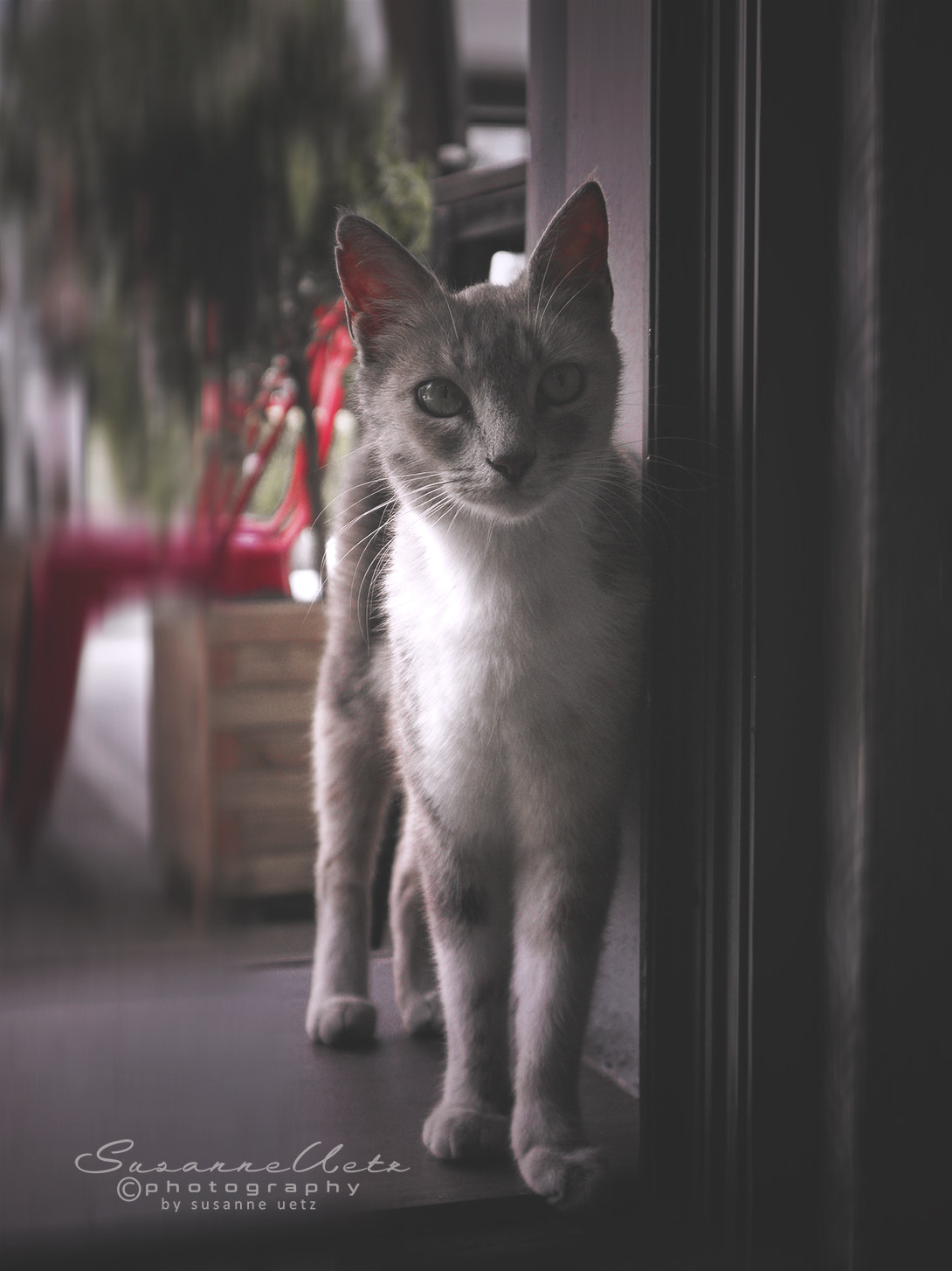 Canon EOS M10 sample photo. Visitor photography