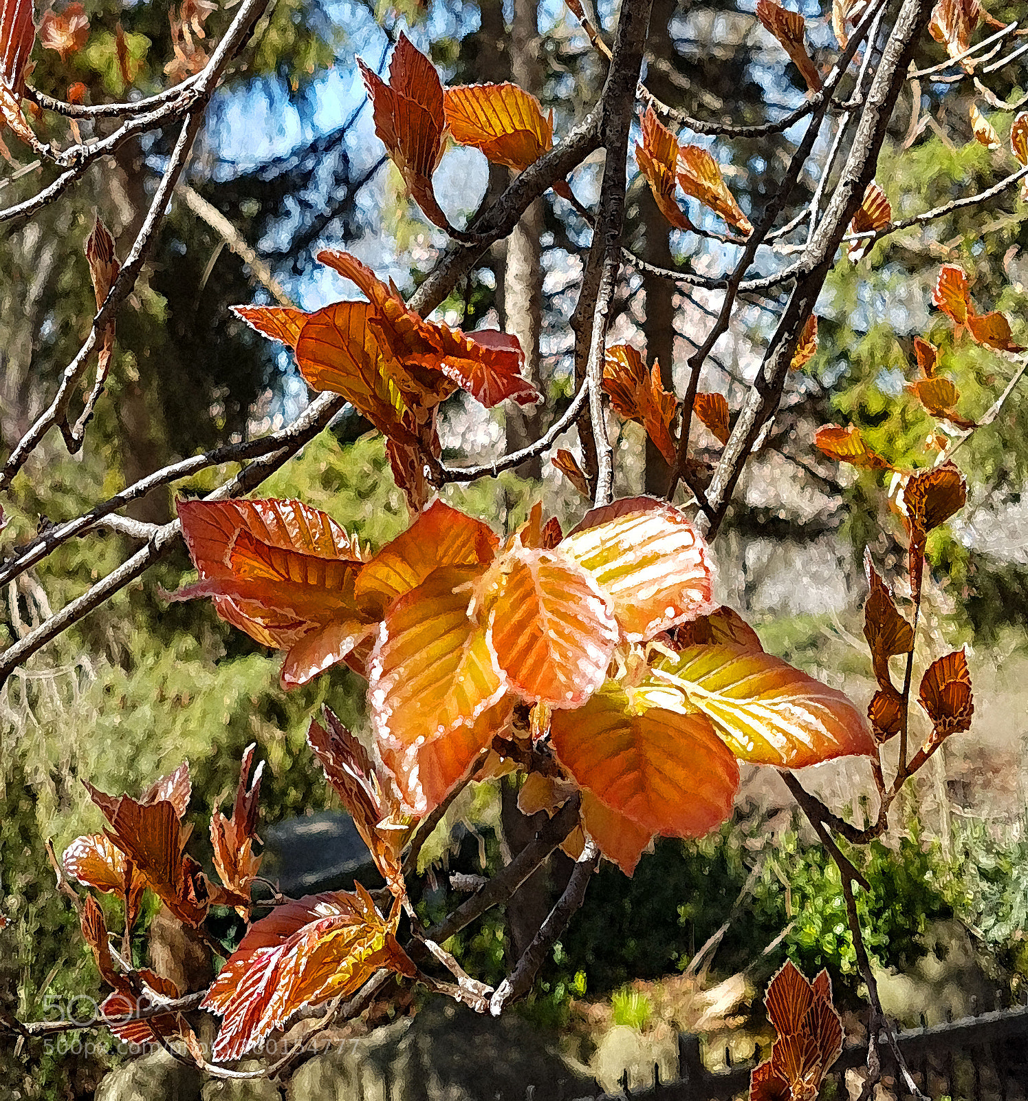 Samsung Galaxy S7 sample photo. Colors in may 3 photography