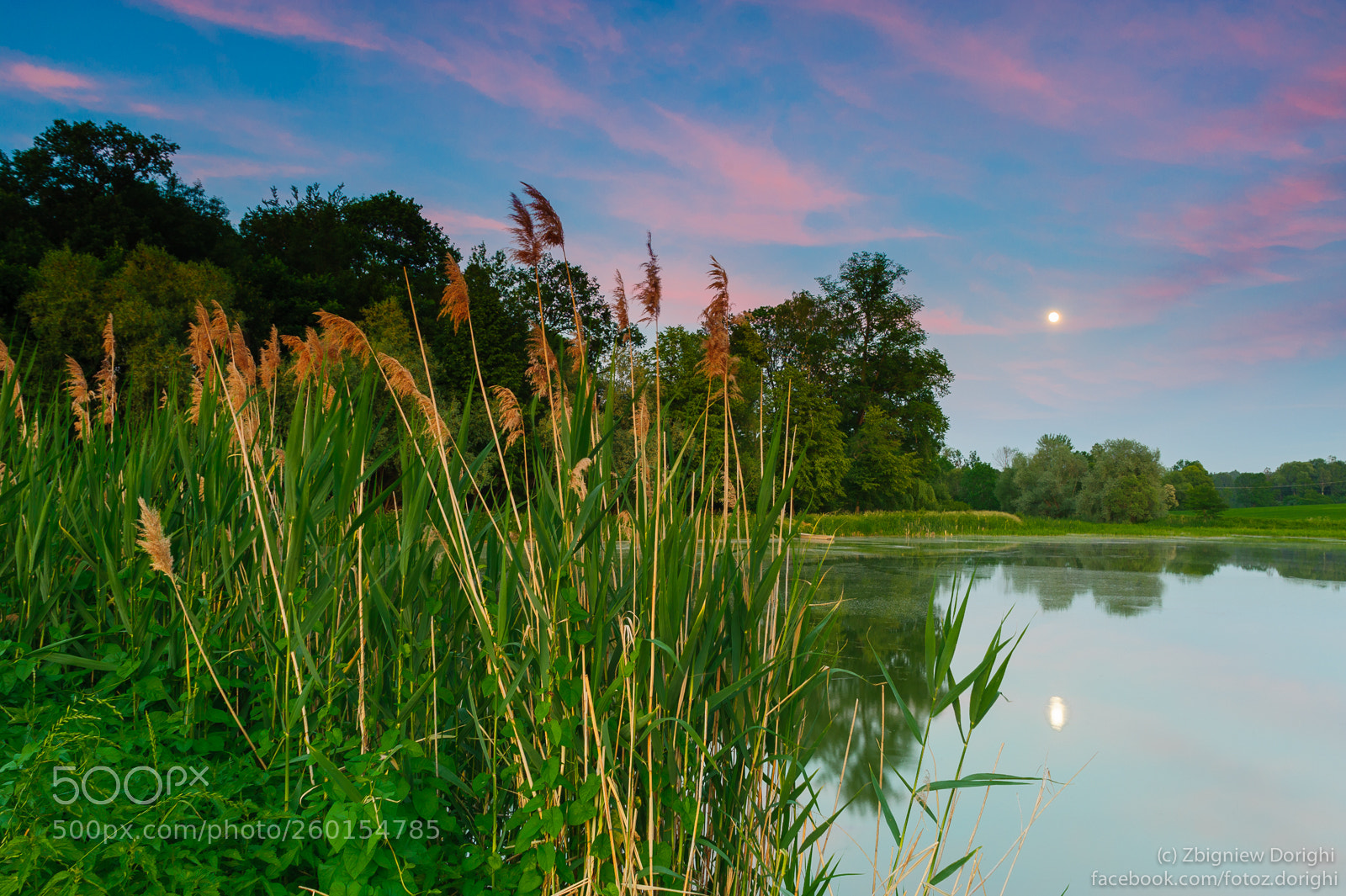 Nikon D700 sample photo. Sunset light and the photography