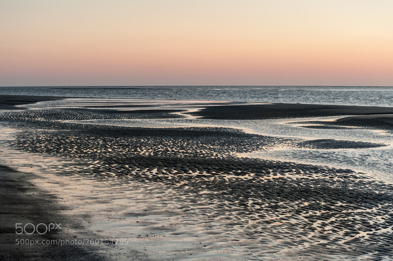 Nikon D700 sample photo. Tideland photography