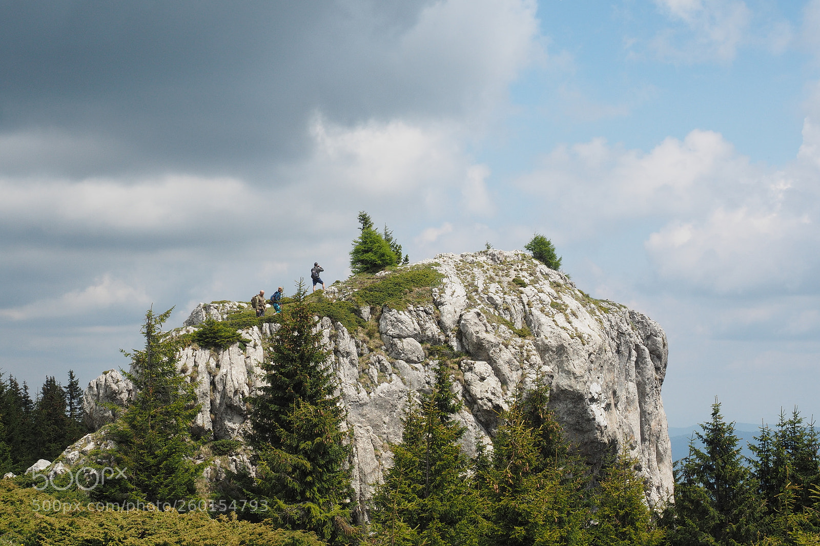 Olympus OM-D E-M5 II sample photo. To the sky photography