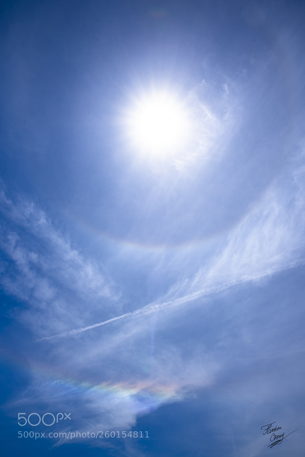 Nikon D750 sample photo. Halo photography