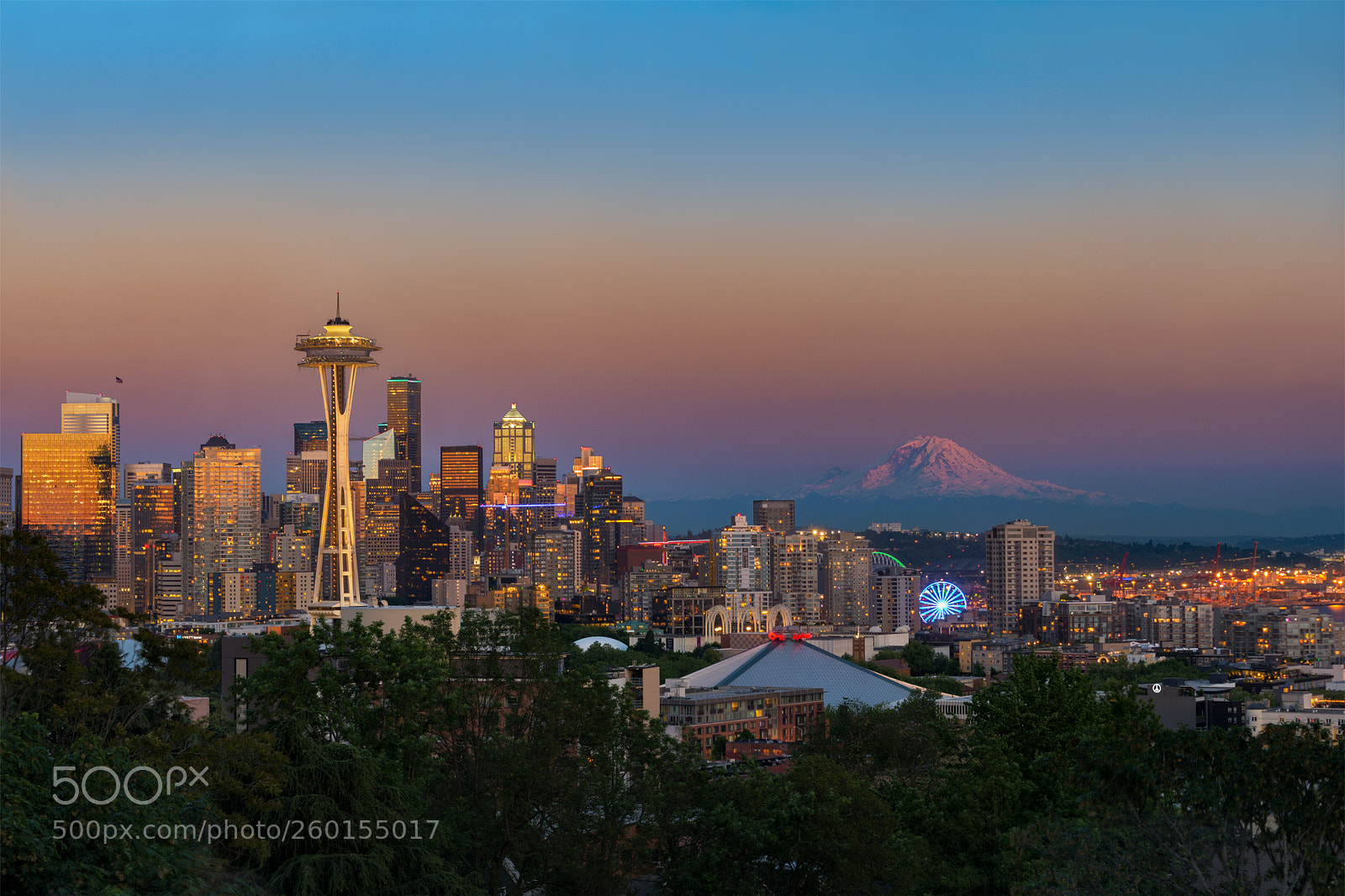 Nikon D610 sample photo. Skyline of seattle in photography
