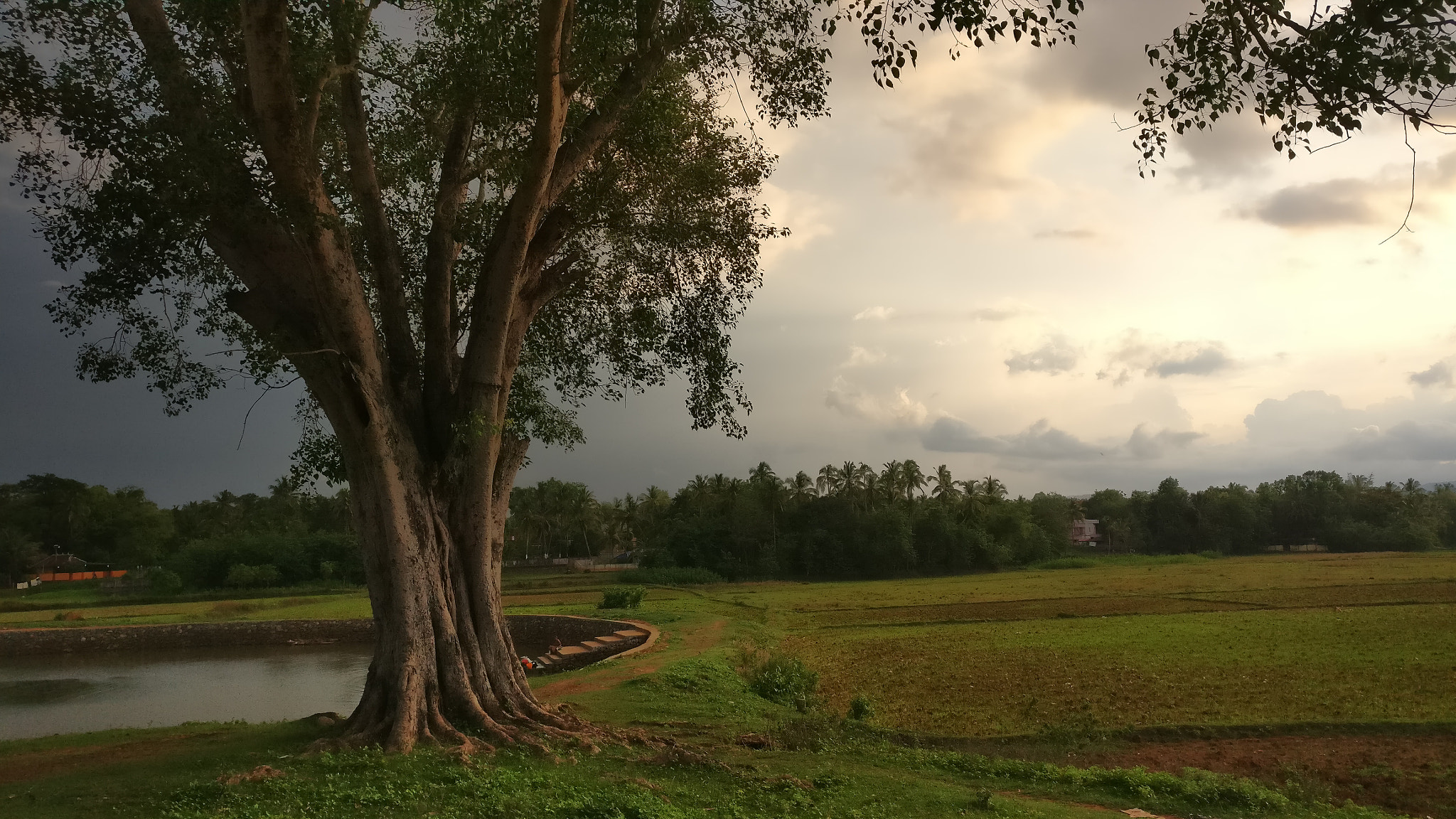 OnePlus A3003 sample photo. God's own country photography