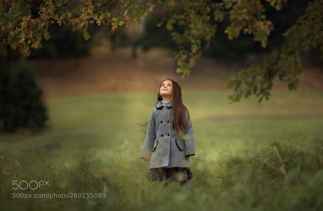 Canon EOS 5D Mark II sample photo. Untitled photography
