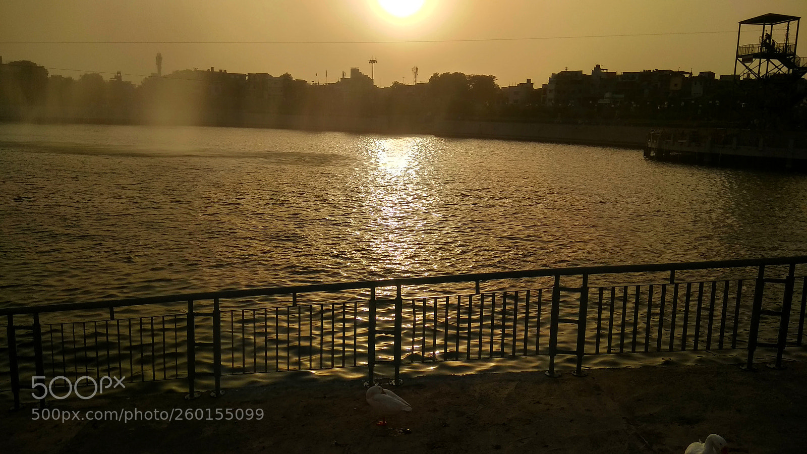 Xiaomi Redmi Note 4 sample photo. Img_20180520_212248.jpg photography