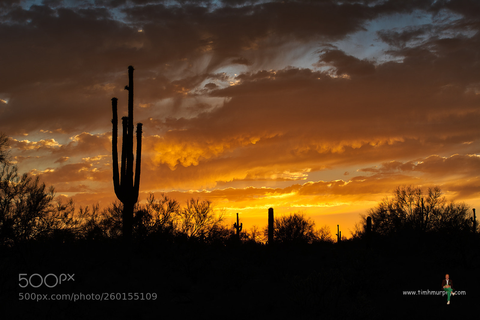 Nikon D7100 sample photo. Arizona sunset photography