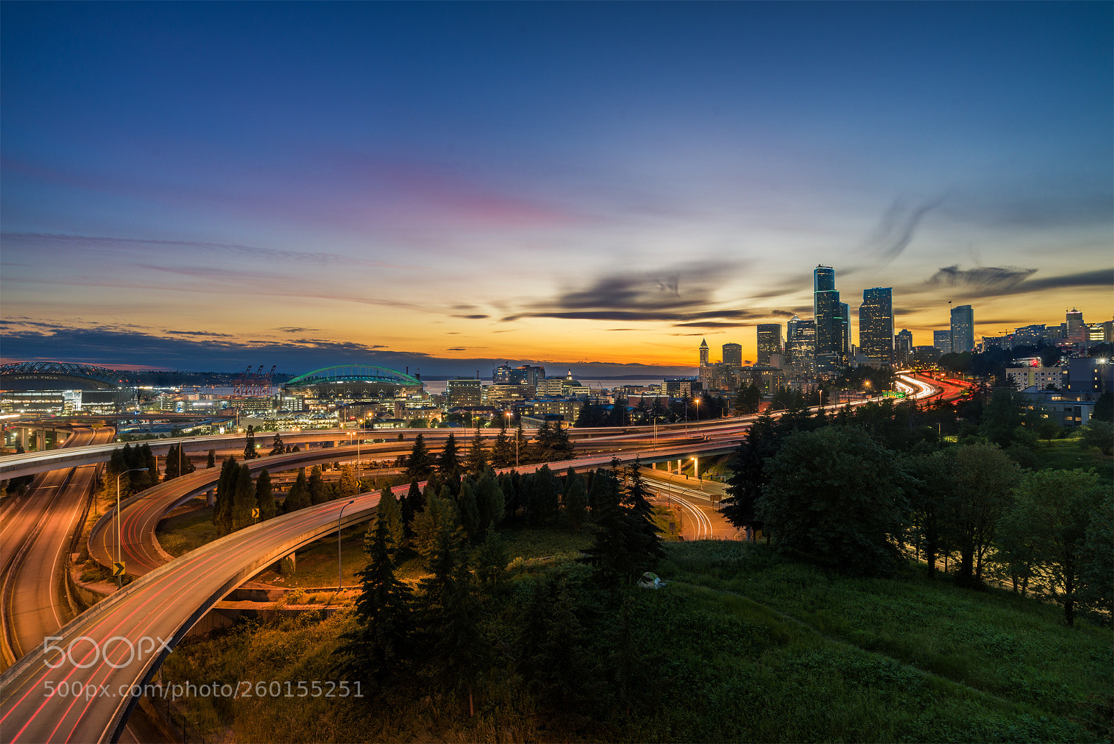 Nikon D610 sample photo. Curves of seattle in photography