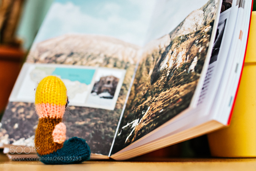 Canon EOS 20D sample photo. Reading photography