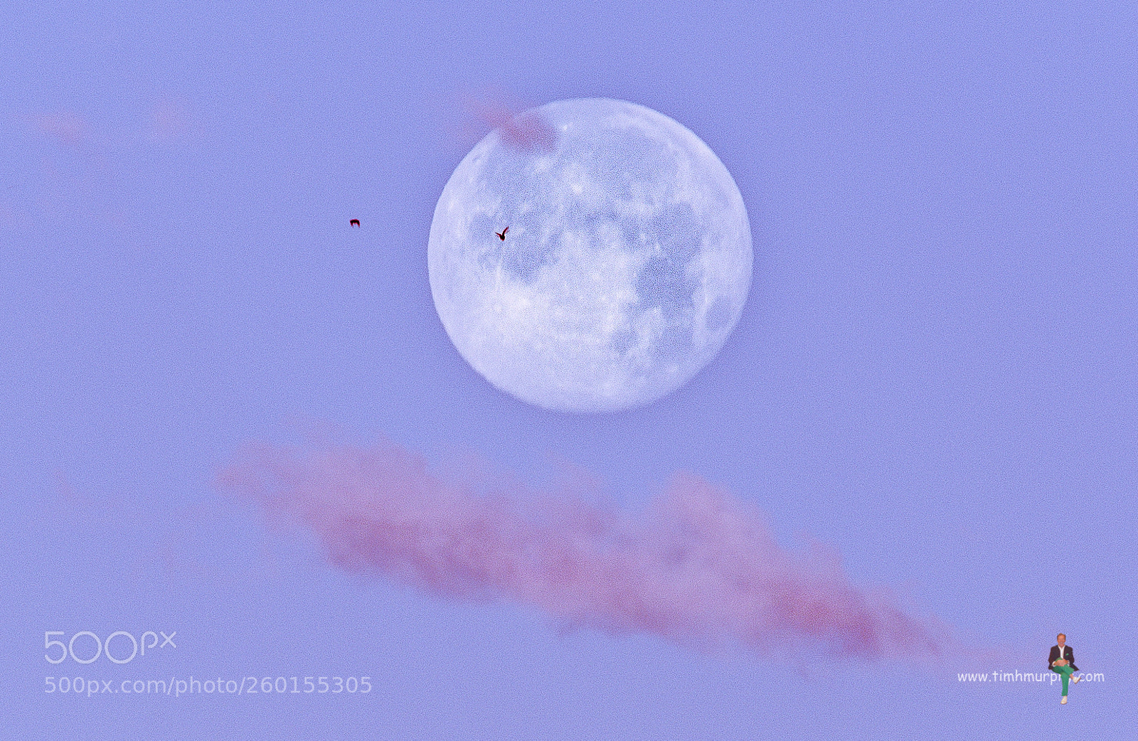 Nikon D7100 sample photo. Two birds, the moon photography