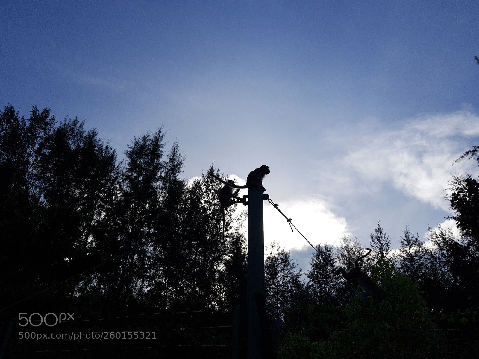 Samsung Galaxy S8 sample photo. Img_20180518_083651.jpg photography