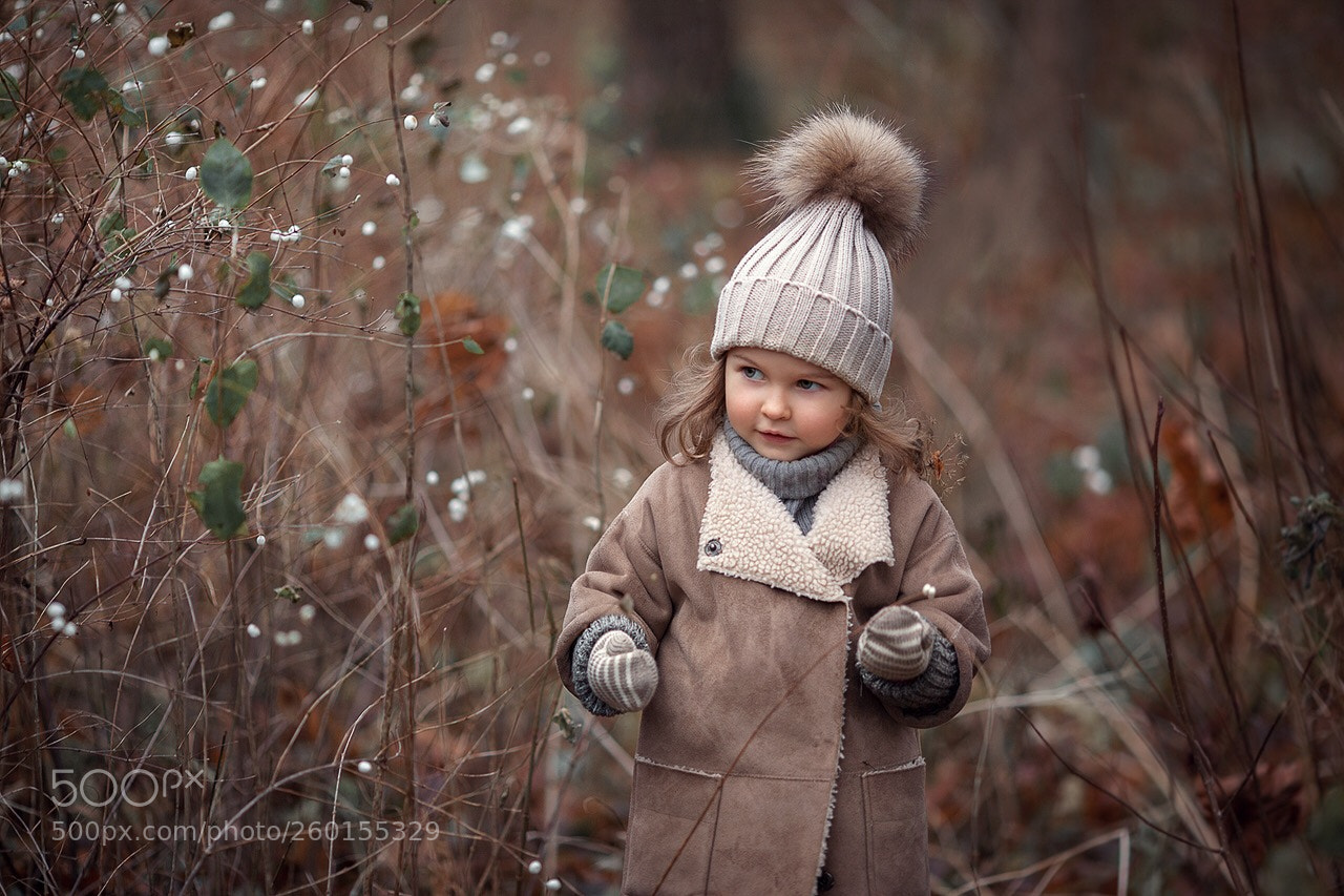 Canon EOS 5D Mark II sample photo. Untitled photography