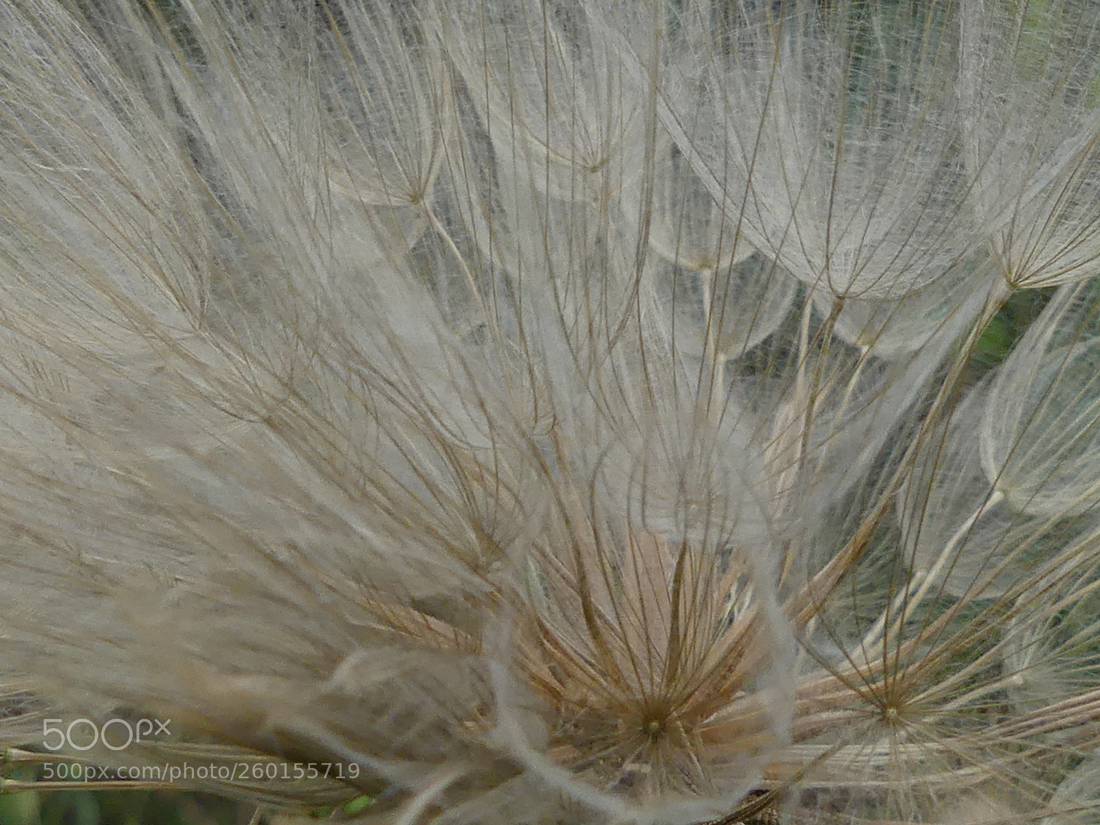 Panasonic Lumix DMC-FZ300 sample photo. Je s me tous photography
