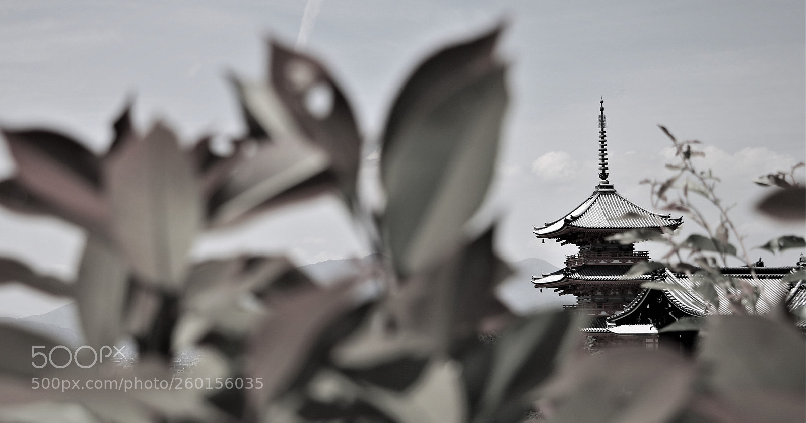 Canon EOS 750D (EOS Rebel T6i / EOS Kiss X8i) sample photo. Kyomizu-dera photography