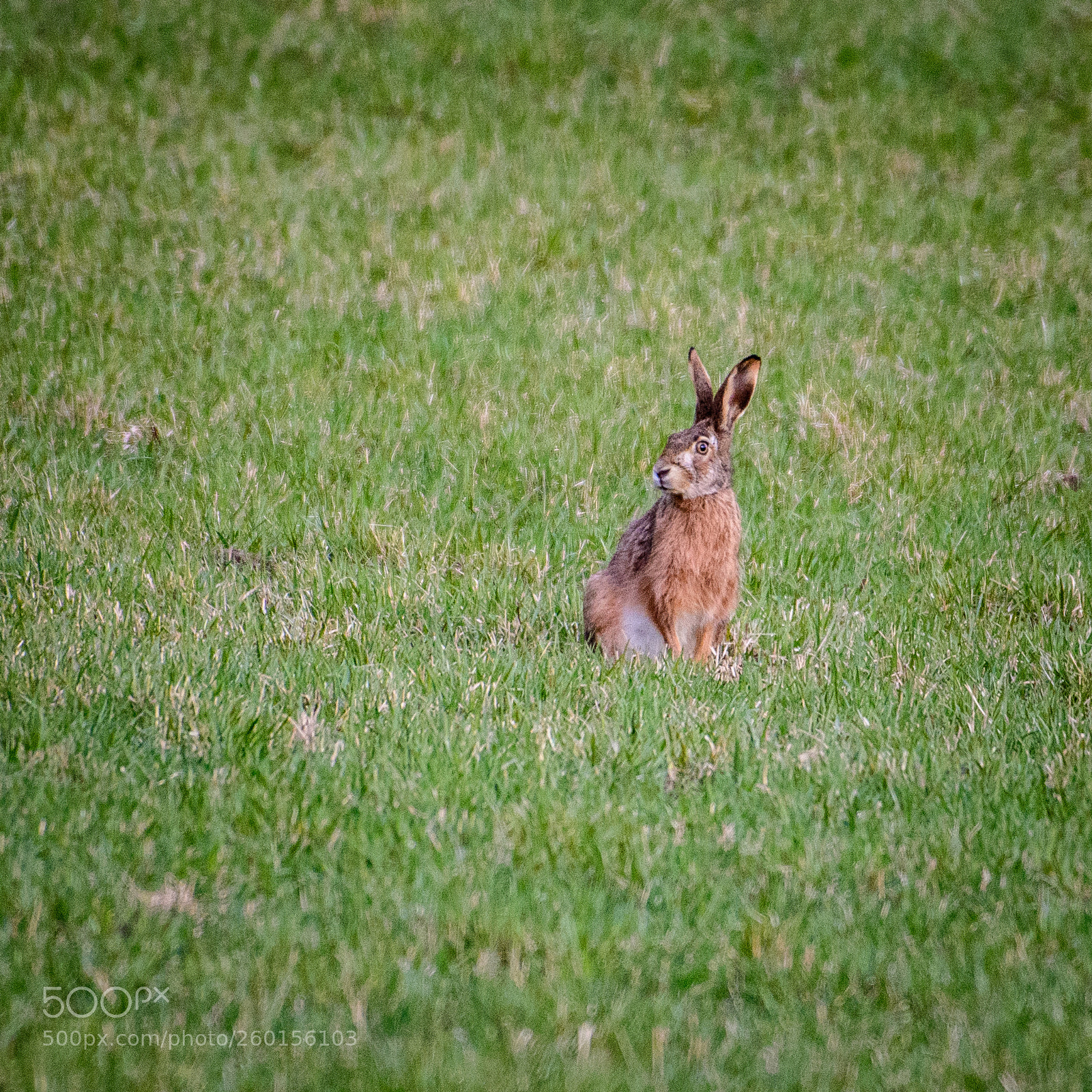 Nikon D500 sample photo. 500px-3.jpg photography