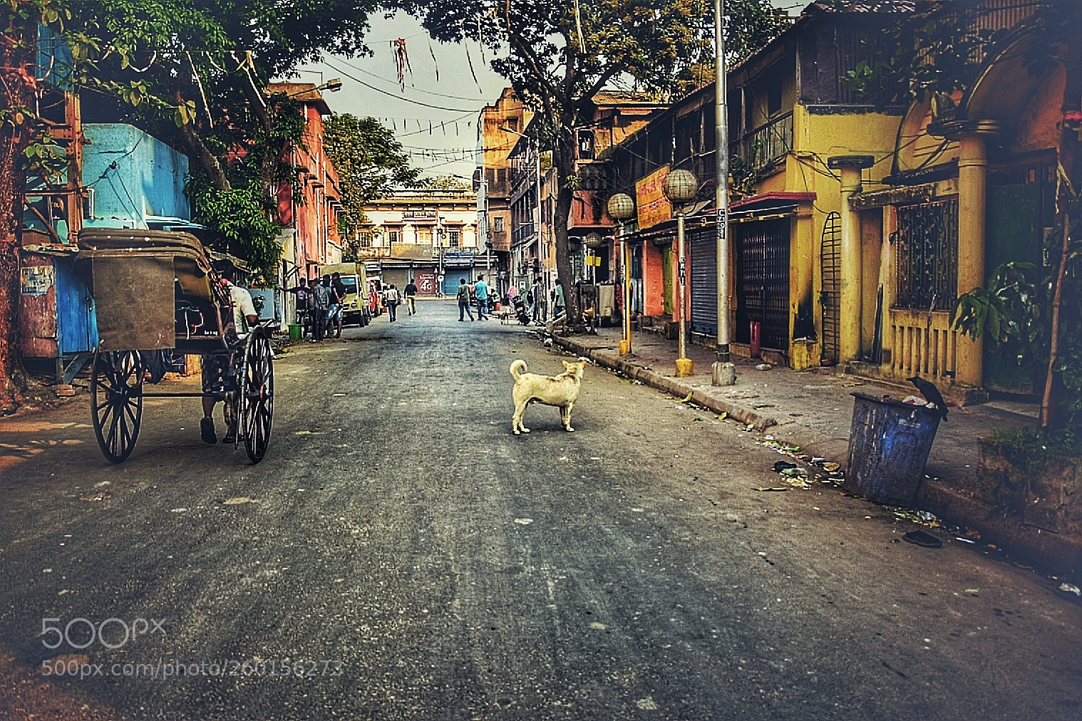 Nikon D5300 sample photo. Lonely companion photography