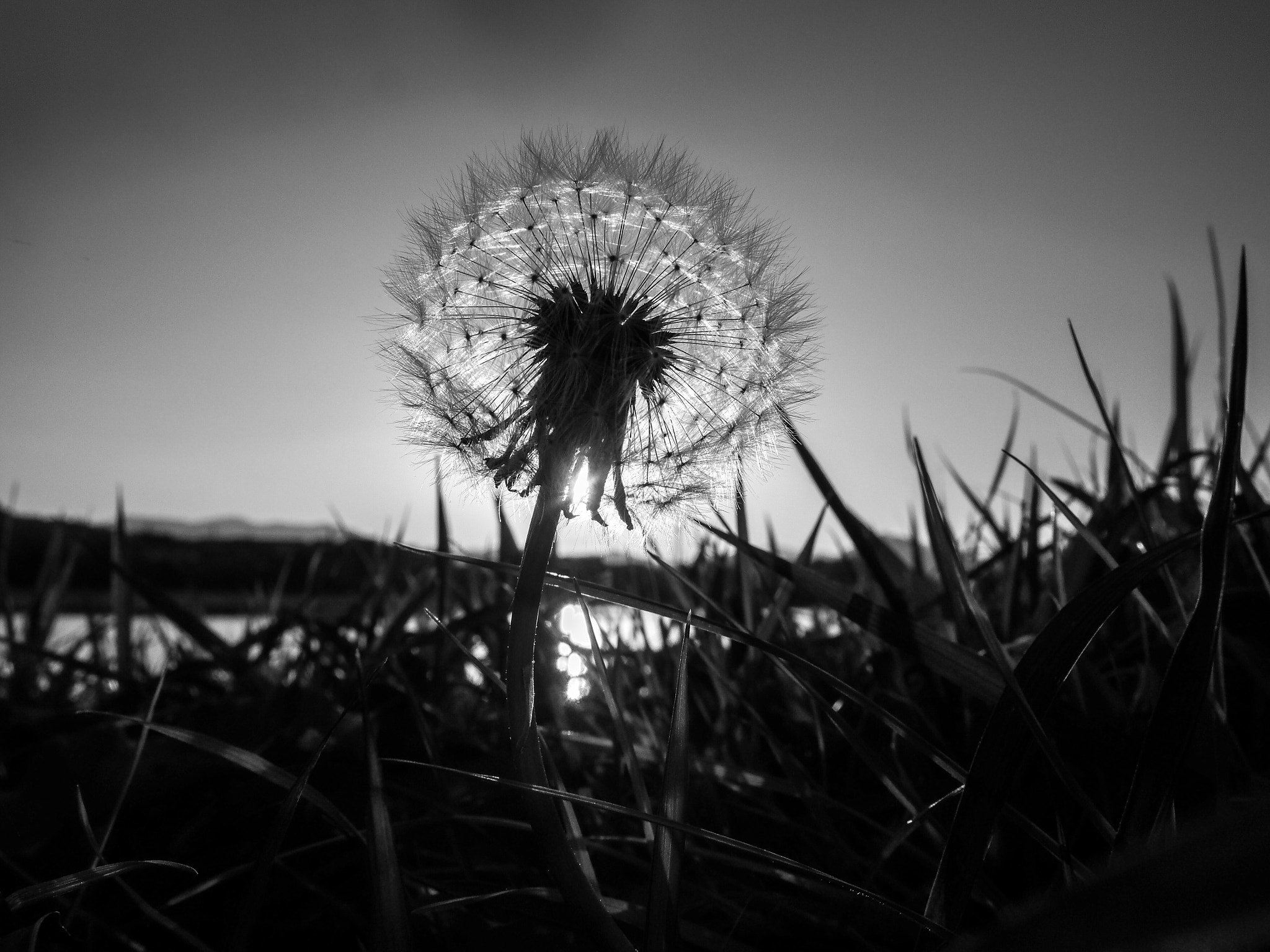 Olympus PEN E-PL5 sample photo. Behind you photography