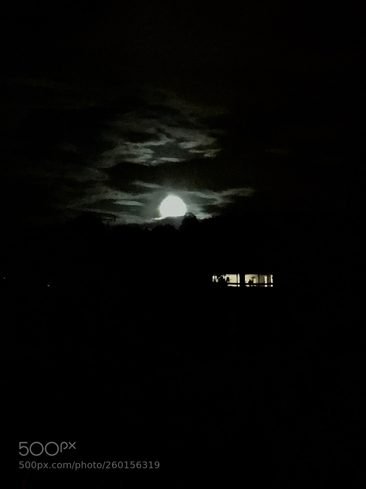 Apple iPhone 6s Plus sample photo. Untitled photography