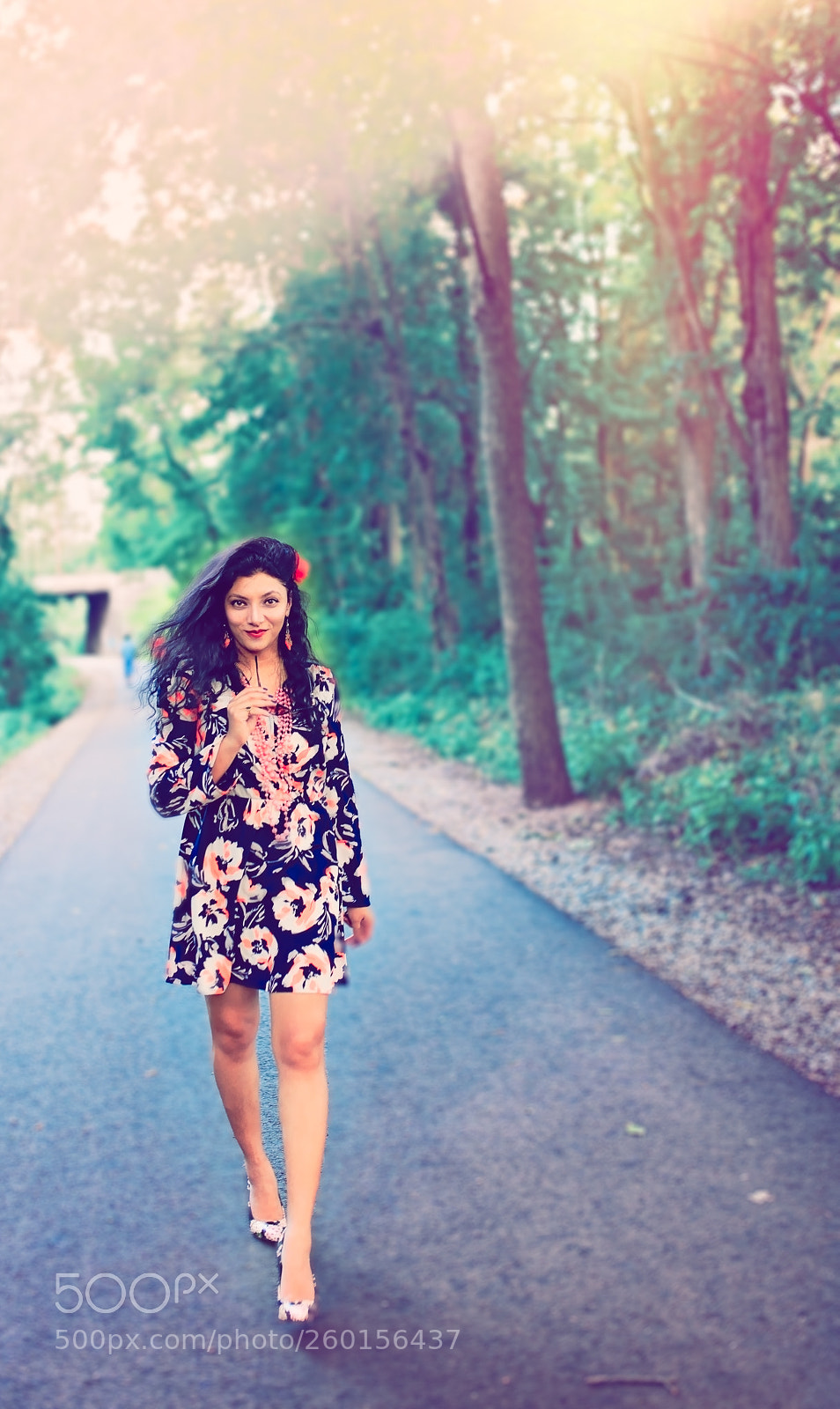 Nikon D750 sample photo. Wanderer photography