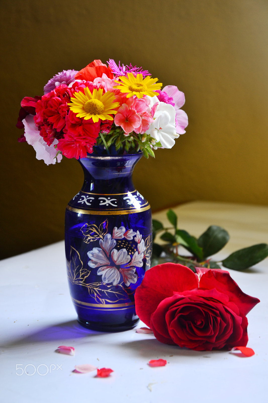 Nikon D3100 sample photo. The beauty of flowers photography