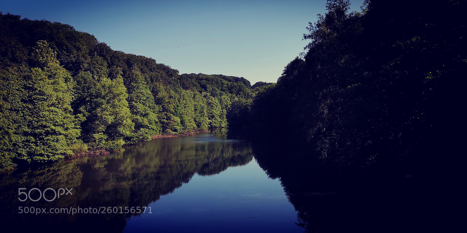 HUAWEI CLT-L09 sample photo. Lake behind our house photography